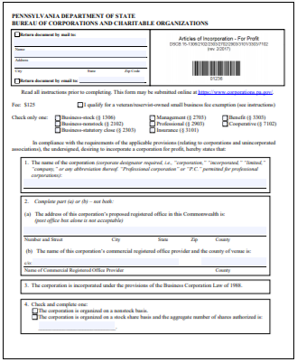 Pennsylvania Corporation Formation Order Form | DBI Global Filings, LLC –  DBI Global Filings, LLC (a 100% wholly-owned subsidiary of Delaware  Business Incorporators, Inc.)