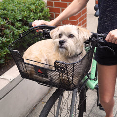 Axiom dog bike basket