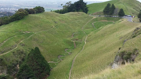 Te Mata Peak mountain bike tracks from the saddle car park, Havelock North