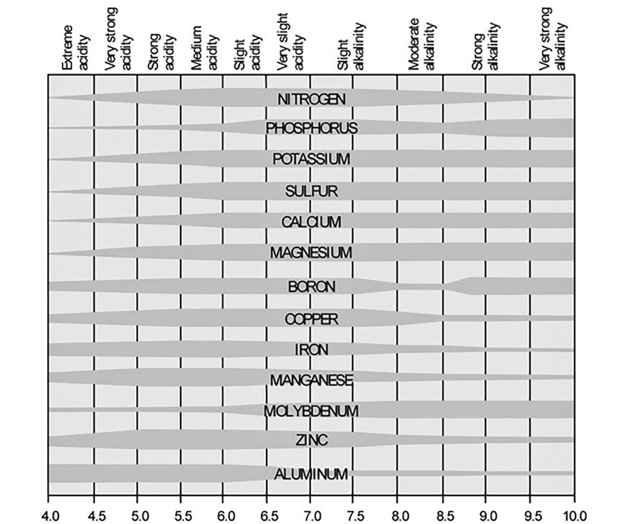 pH and Nutrient Absorption