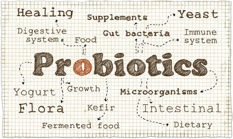 no face probiotics