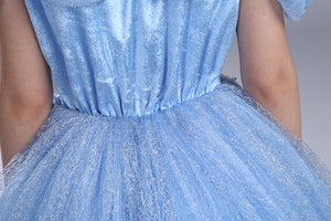 Princess Costume - Blue Short Sleeve Bubble Gown Skirt Cinderella Dress - Apparel & Accessories - Clothing Activewear - Dance Dresses, Skirts & Costumes - PlayAge