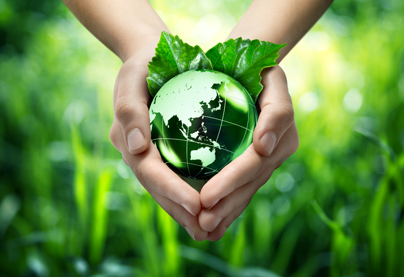 Hands holding green earth to represent environmental sustainability