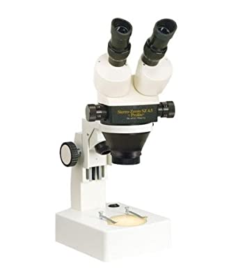 Binocular microscopes for 3D visioning