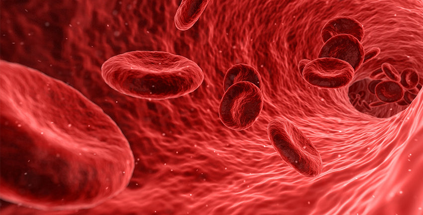iron red blood cells