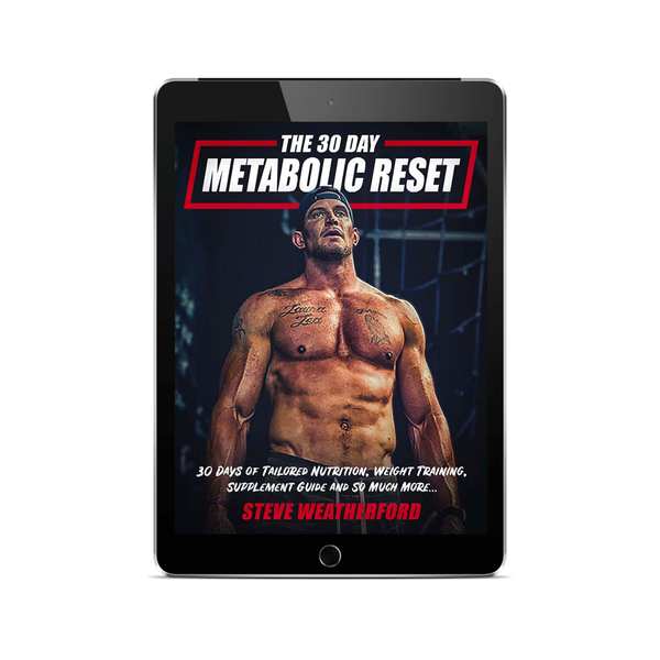 6 day Armageddon workout ebook for ABS