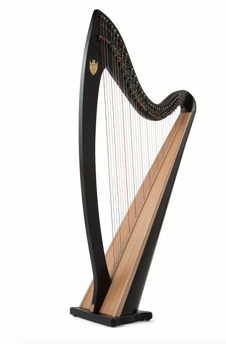 lyon healy harp transport cover