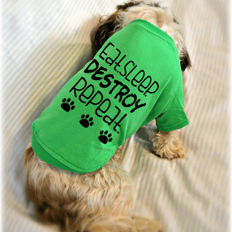 funny dog t shirt sayings for dogs