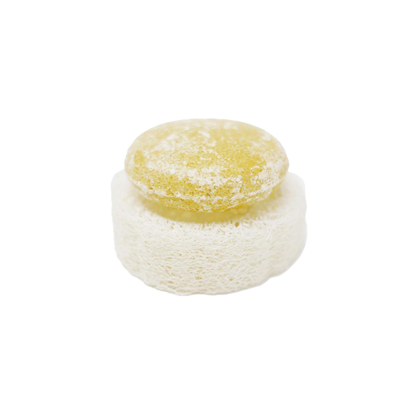 https://cdn.shopify.com/s/files/1/2226/2109/products/loofa_soap_dish_the_good_fill_600x.png?v=1678906724