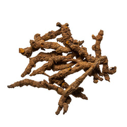 Huang Lian (Coptis Root) - Wholesale Chinese Herbs & Dit Da Jow