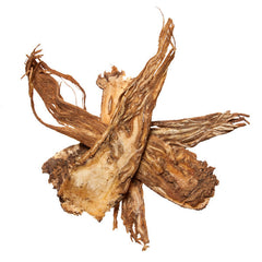 Hou Po (Magnolia Bark): Chinese Herb for Regulation Qi - Plum Dragon – Plum  Dragon Herbs