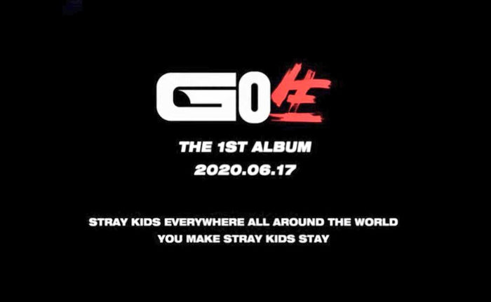 Stray kids gods menu текст. Логотип аутсайдер Stray. Stray возрастные ограничения. Предложения с Stray. Аутсайдеры Stray значок.