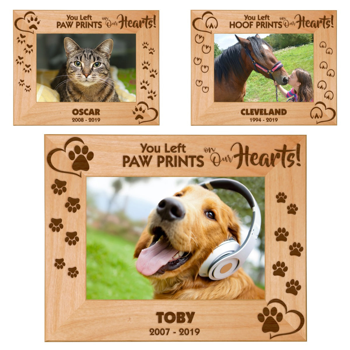 Pet Memories Leave Paw Prints on Our 