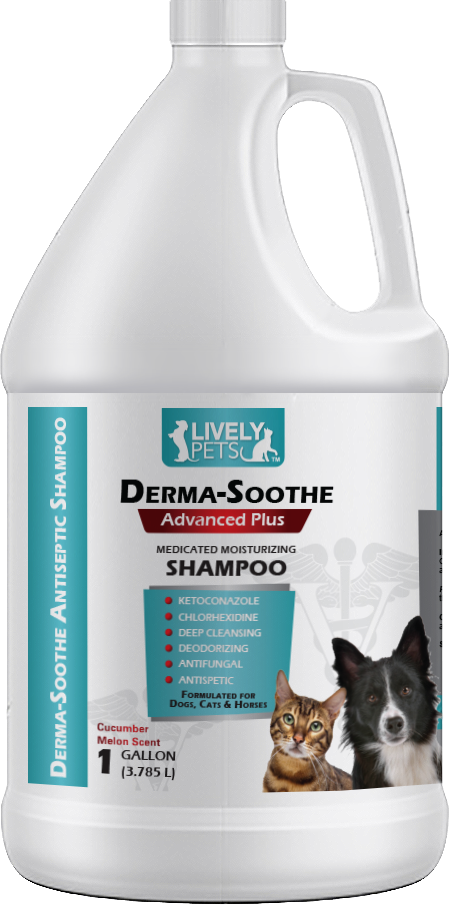 can you use ketoconazole shampoo on dogs