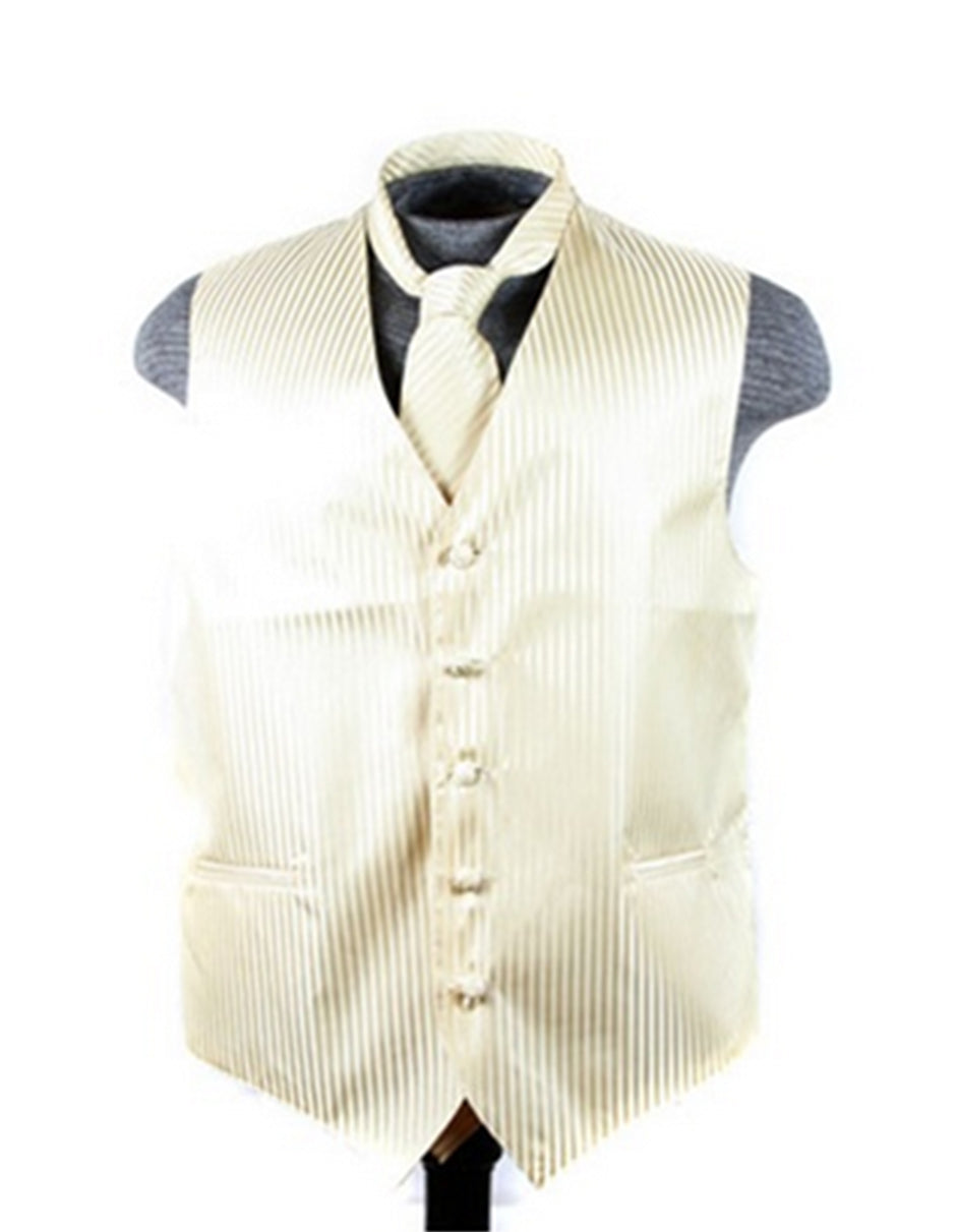 _値下げ☆Ameri LOGO STRIPE VEST SET-