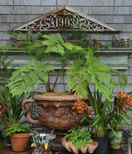 Cast concrete urn with handles filled with plants and surrounded by smaller pots filled with greenery