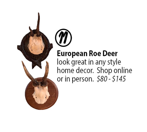 Vintage European Roe Deer
