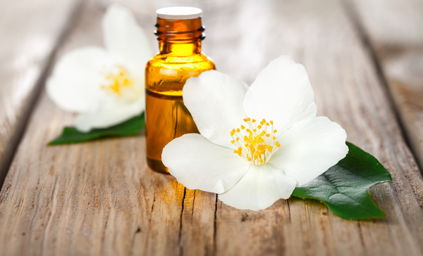 Top 10 Throat Chakra Essential Oils: Jasmine