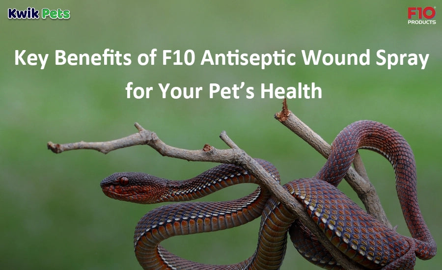Key Benefits of F10 Antiseptic Wound Spray for Your Pet’s Health