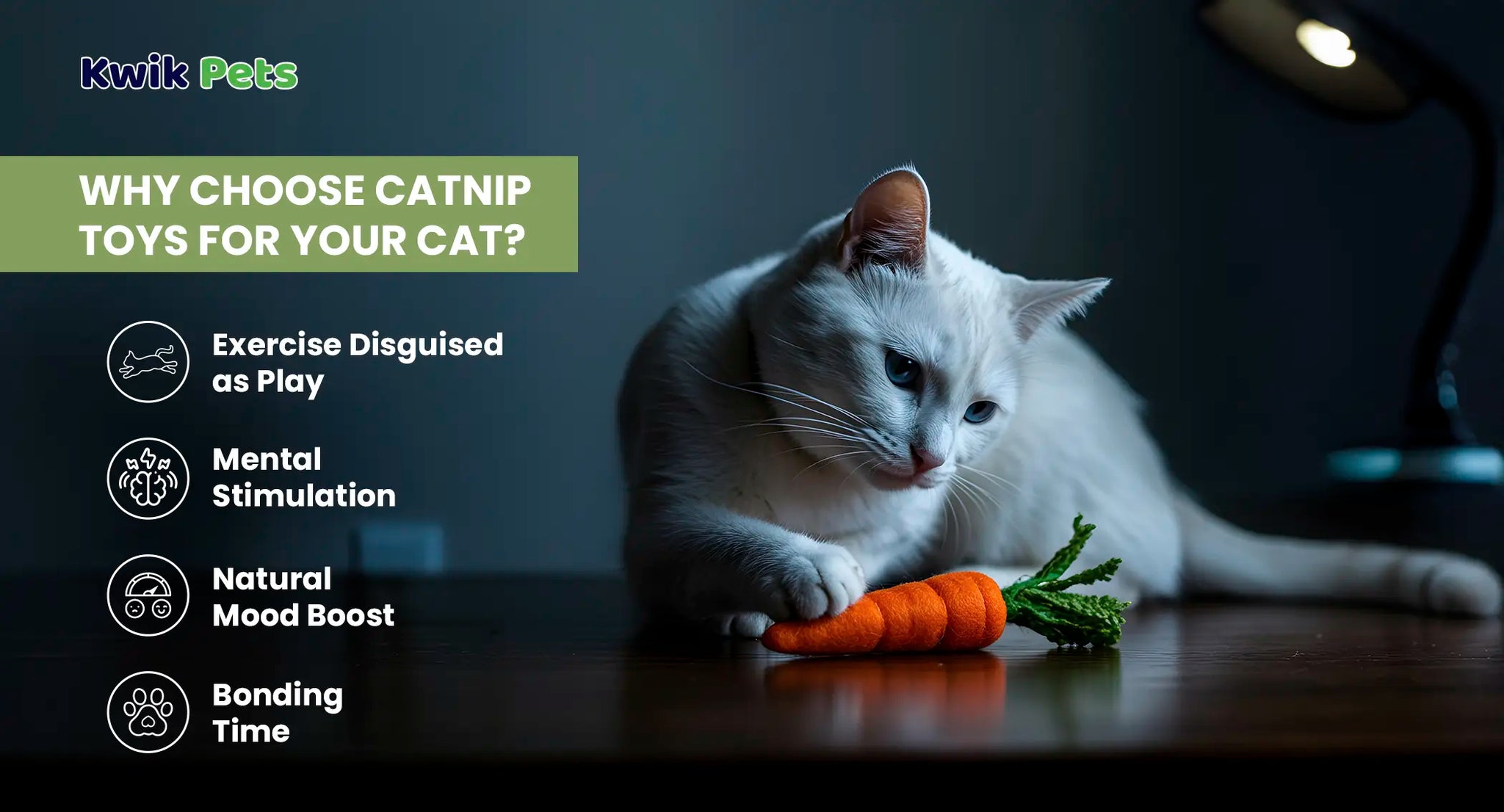 Catnip Toys for Cats
