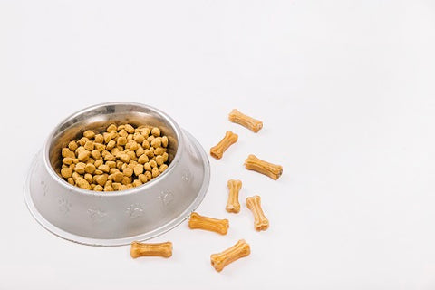 Nutrition for dogs