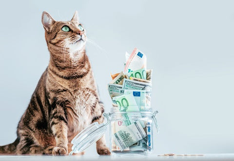 cat food budgets