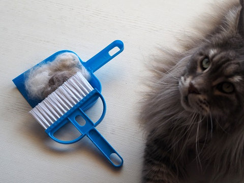 Hairball Control  for cat