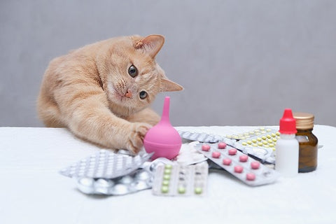 Medication Administration for cats
