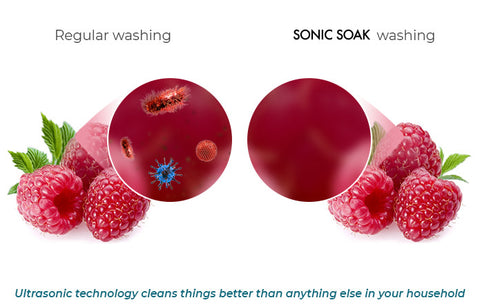 How an Ultrasonic Fruit & Vegetable Purifier Can Have a Positive Impac –  Sonic Soak