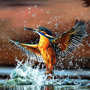 Bree Merryn King of the North Kingfisher 40cm Canvas - Gifteasy Online
