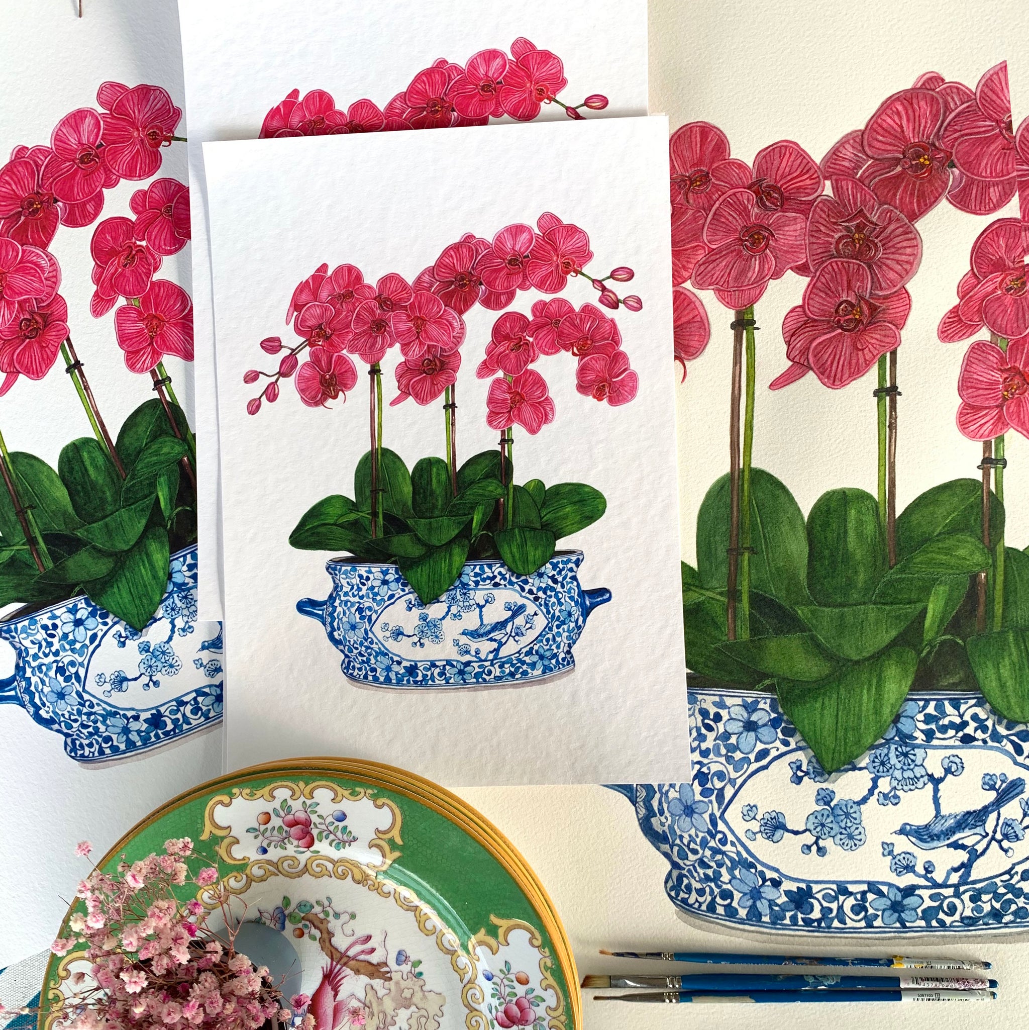 Blue And White Chinoiserie Planter With Pink Orchids Sprout Gallery