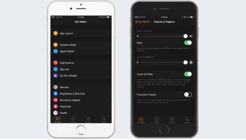 32 Tips Rahasia Apple Watch Yang Perlu Anda Ketahui Fstrap Id