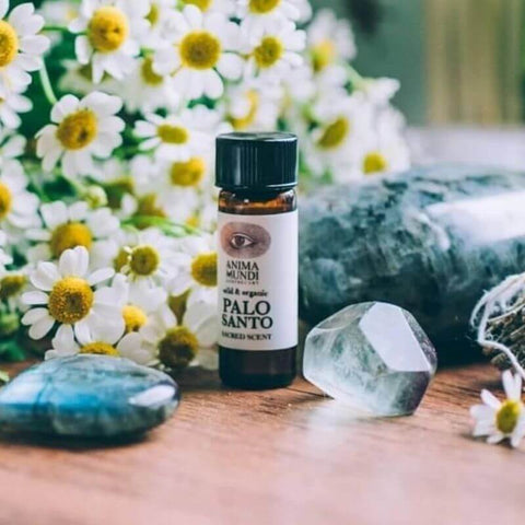 ALL ABOUT PALO SANTO - ANIMA MUNDI Palo Santo Oil