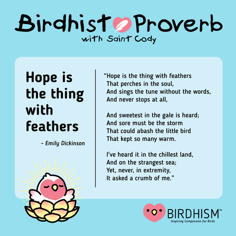 proverbs and sayings about birds