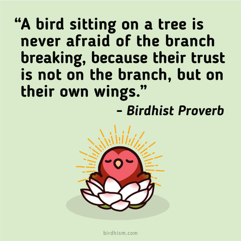 birdhist proverbs  birdhism