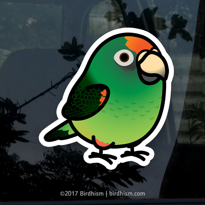 Chubby Jardine's Parrot Stickers – birdhism