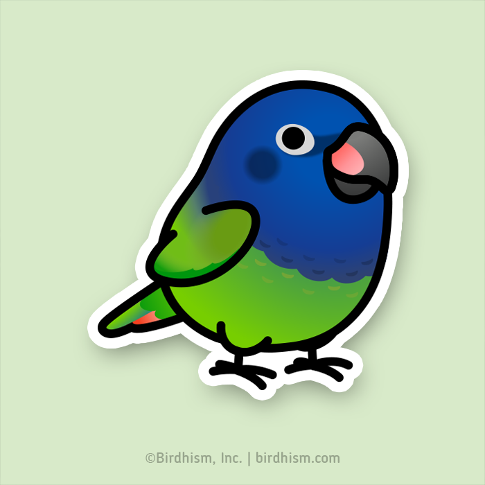 Gift Sticker : Blue Jay Bird Lover Cute Decor Birdism Watcher