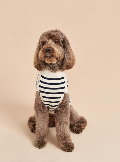 Picture of Chien Sweater