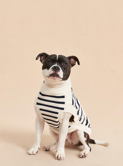 Picture of Chien Sweater