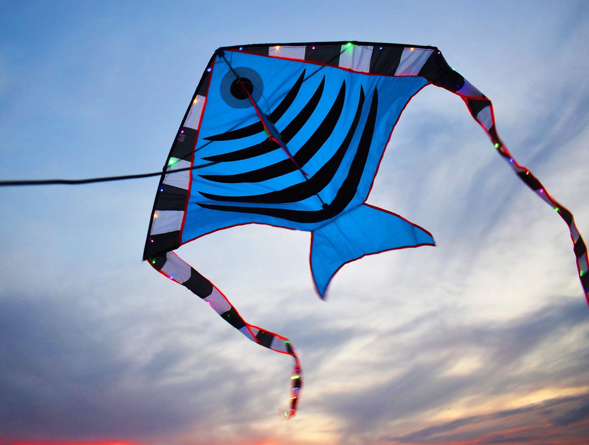 kite fishing kite