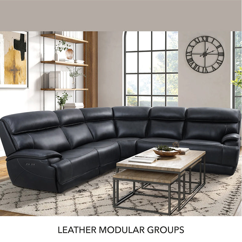 Stationary Modular Groups and Sectionals