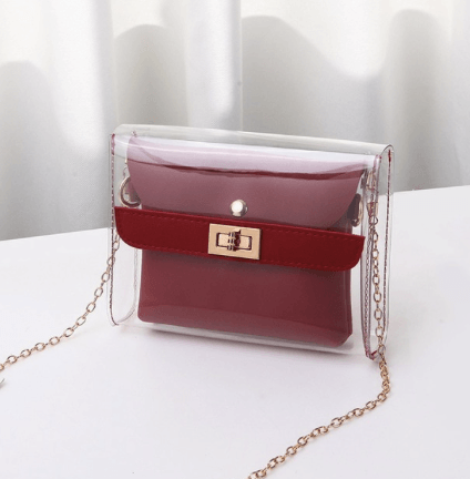 THE CLEAR CHIC CROSSBODY