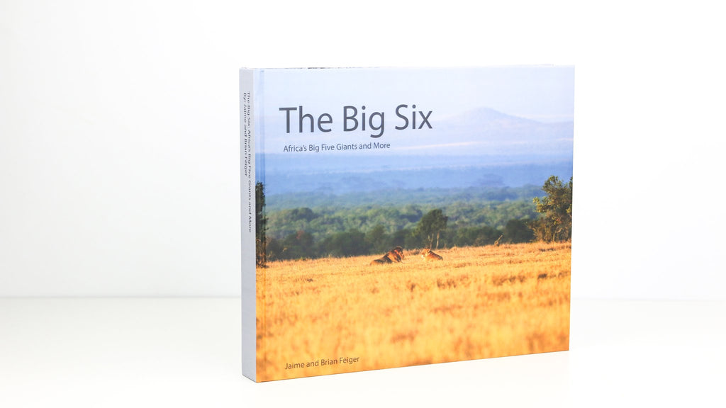 the-big-six-africas-five-big-giants-and-more-photographic-and-information-book