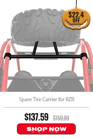 Spare Tire Carrier for RZR