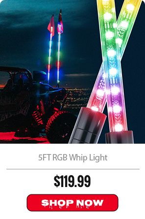 5FT RGB Whip Light