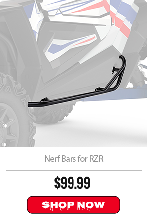 Nerf Bars for RZR