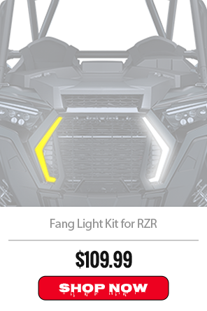 Fang Light Kit for RZR