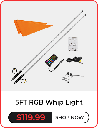 5FT RGB Whip Light