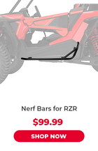 Nerf Bars for RZR