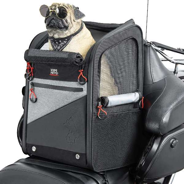 A dog wearing sunglasses sitting in a Kemimoto’s Motorcycle Cat/Dog Carrier Bags
